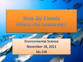 How Do Floods Affect the Economy?