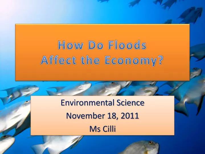 how do floods affect the economy