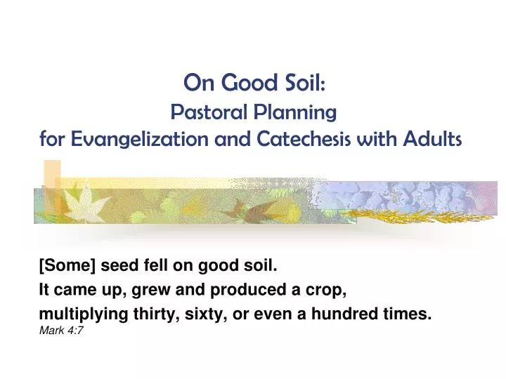 on good soil pastoral planning for evangelization and catechesis with adults