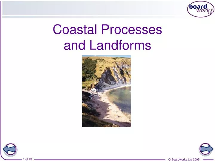 coastal processes and landforms
