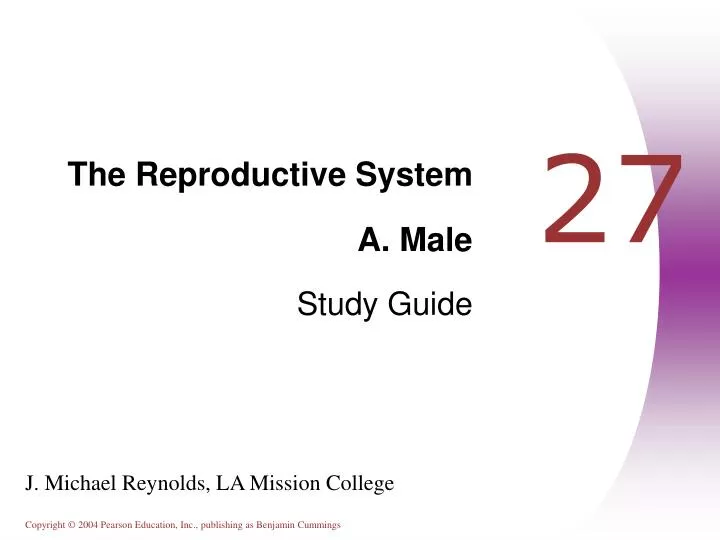 the reproductive system a male study guide