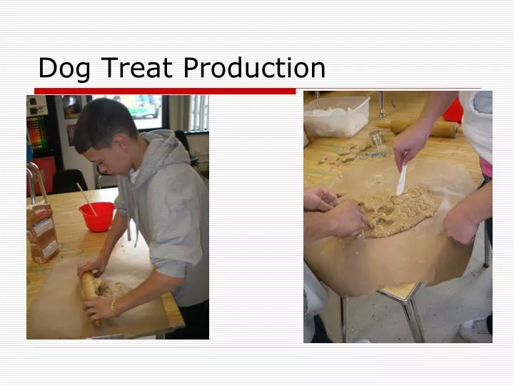 dog treat production