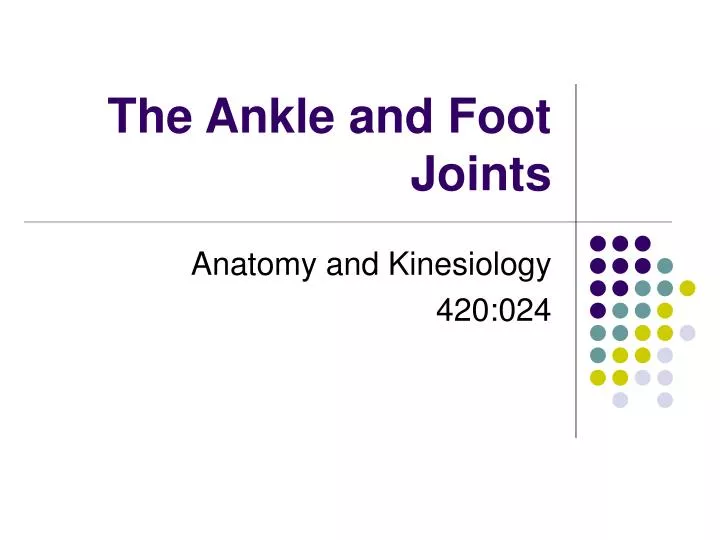 the ankle and foot joints