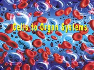 Cells to Organ Systems