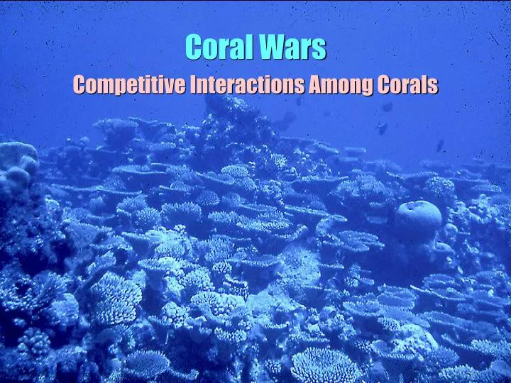 coral wars