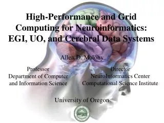 High-Performance and Grid Computing for Neuroinformatics: EGI, UO, and Cerebral Data Systems