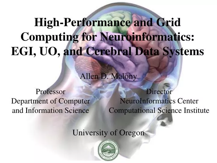 high performance and grid computing for neuroinformatics egi uo and cerebral data systems