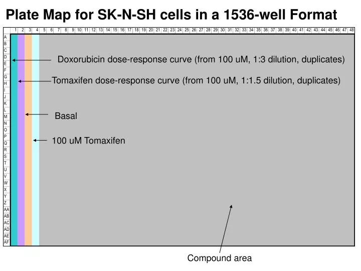 plate map for sk n sh cells in a 1536 well format