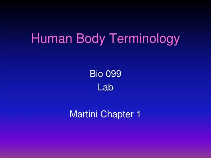 human body terminology