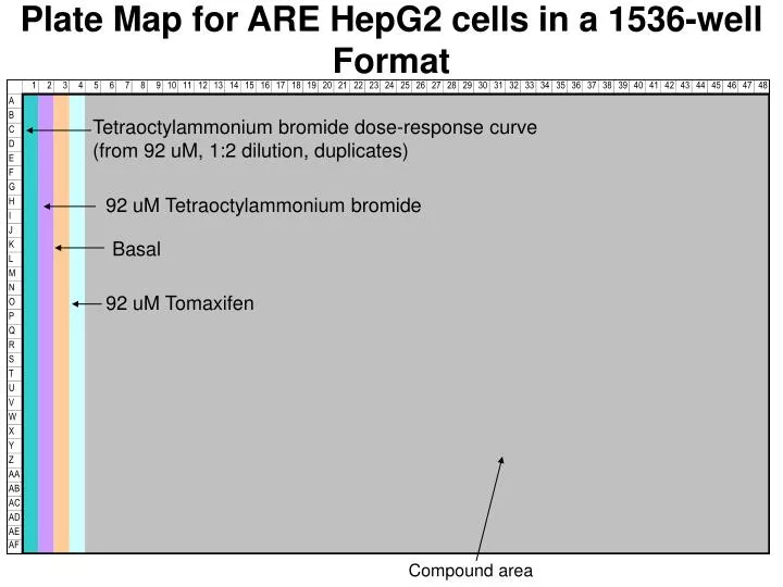 plate map for are hepg2 cells in a 1536 well format