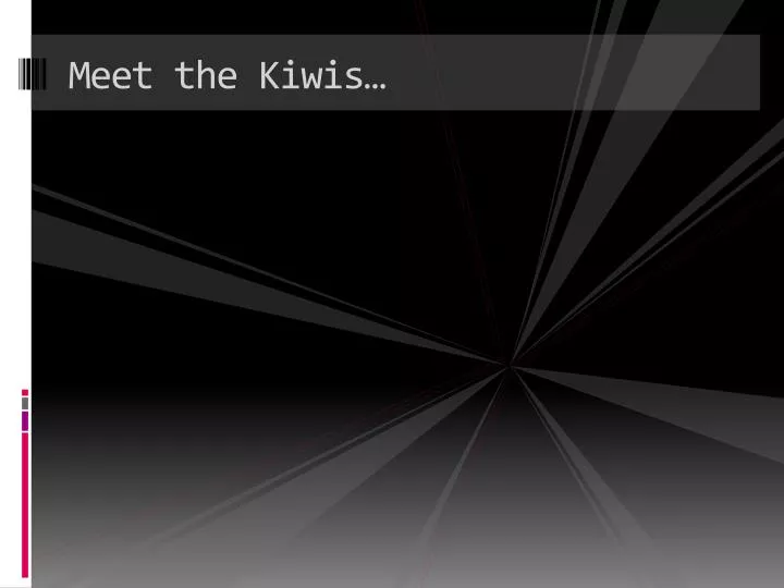 meet the kiwis