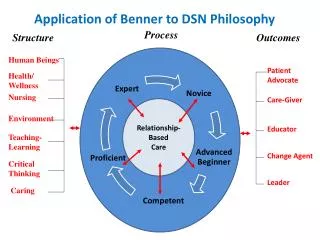 application of benner to dsn philosophy