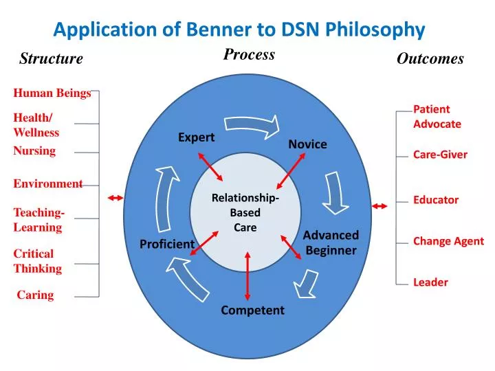 application of benner to dsn philosophy
