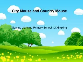 Nanjing Jianning Primary School Li Xingxing