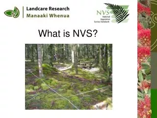 What is NVS?