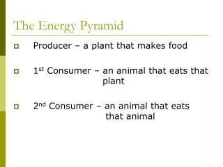 the energy pyramid