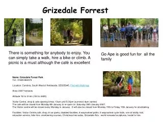 Grizedale Forrest