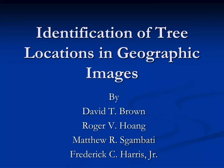 identification of tree locations in geographic images