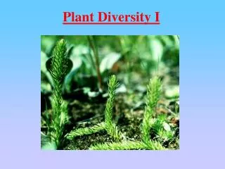 Plant Diversity I