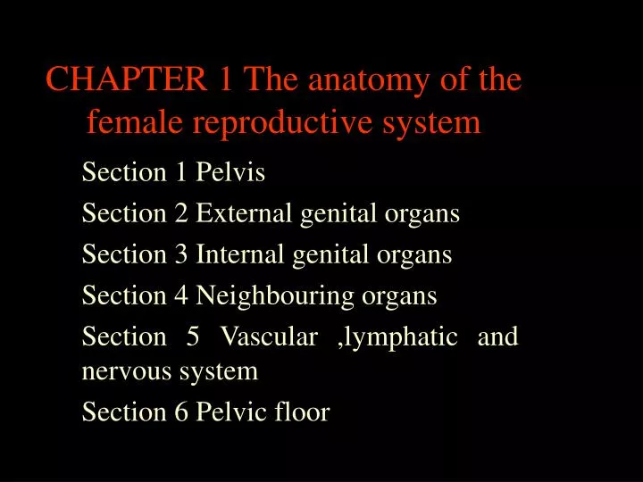 chapter 1 the anatomy of the female reproductive system