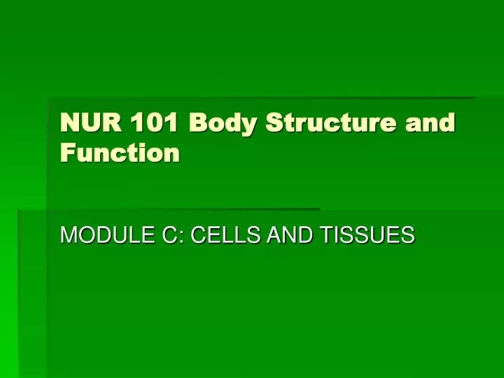 nur 101 body structure and function