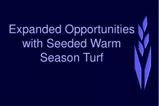 Expanded Opportunities with Seeded Warm Season Turf