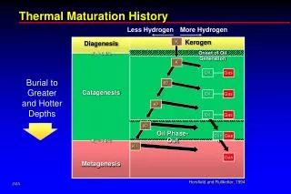 Thermal Maturation History