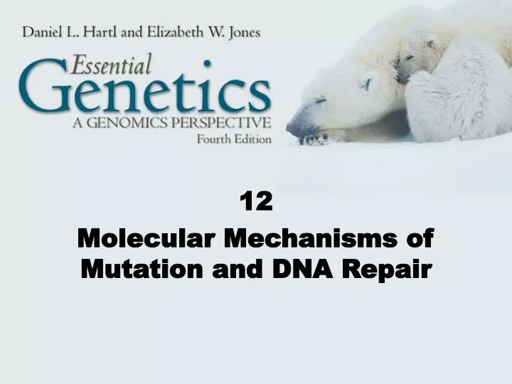 12 molecular mechanisms of mutation and dna repair