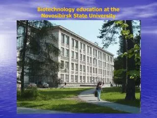 Biotechnology education at the Novosibirsk State University