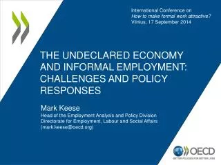 the undeclared economy and informal employment: challenges and policy responses
