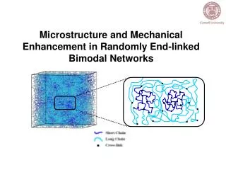 Microstructure and Mechanical Enhancement in Randomly End-linked Bimodal Networks