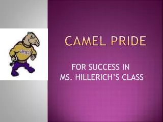 CAMEL Pride