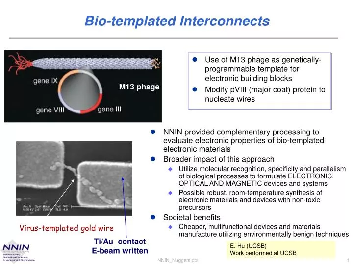 bio templated interconnects