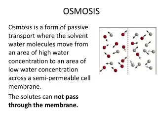 OSMOSIS