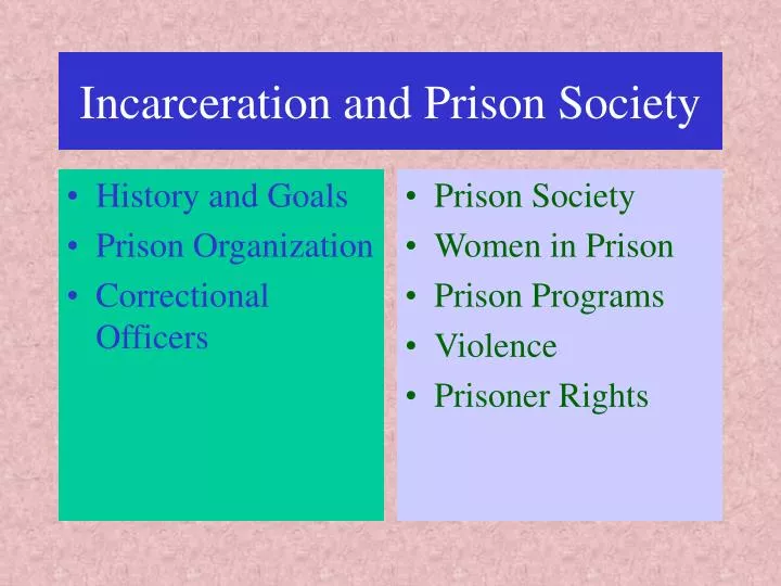incarceration and prison society