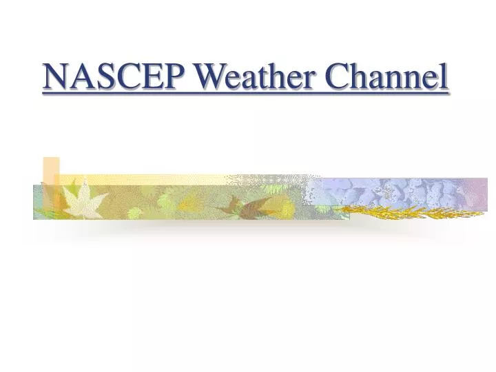 nascep weather channel