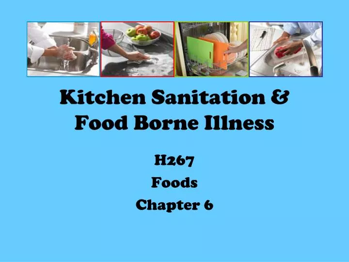 kitchen sanitation food borne illness