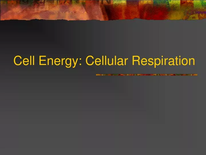 cell energy cellular respiration
