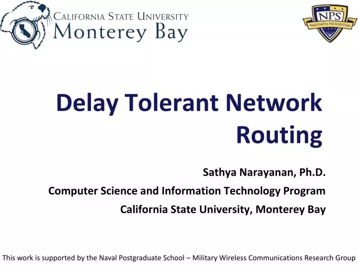 delay tolerant network routing