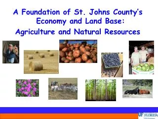 A Foundation of St. Johns County’s Economy and Land Base: Agriculture and Natural Resources