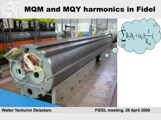 MQM and MQY harmonics in Fidel