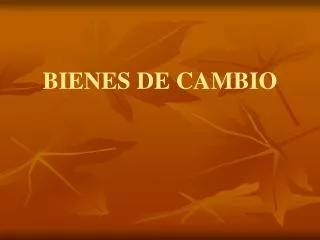 bienes de cambio