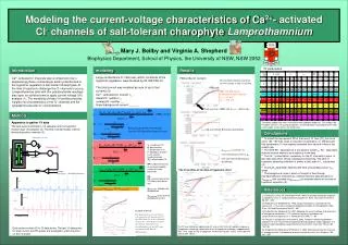 Modeling the current-voltage characteristics of Ca 2+ - activated