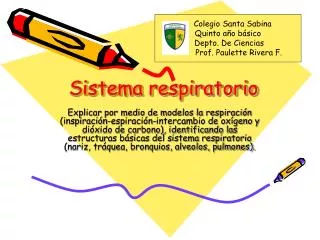 sistema respiratorio
