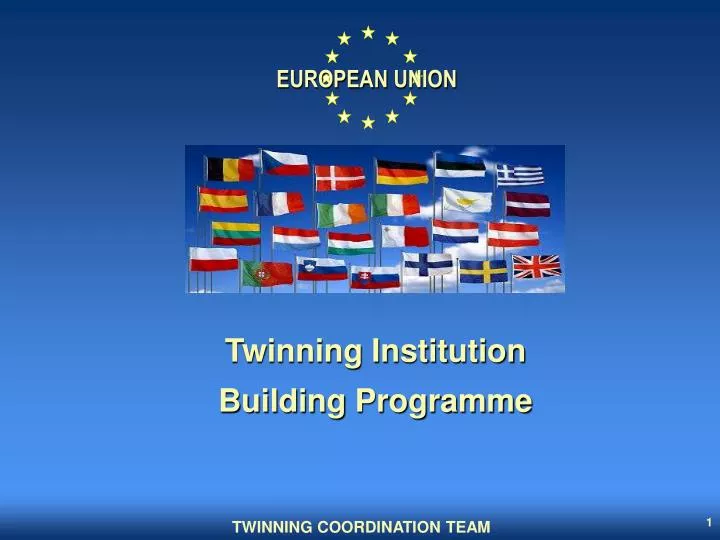 twinning institution building programme