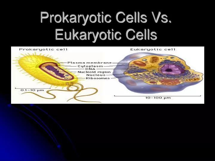 prokaryotic cells vs eukaryotic cells