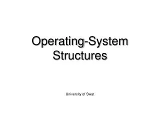 operating system structures