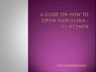 A Guide on How to Grow Marijuana – By Medmen