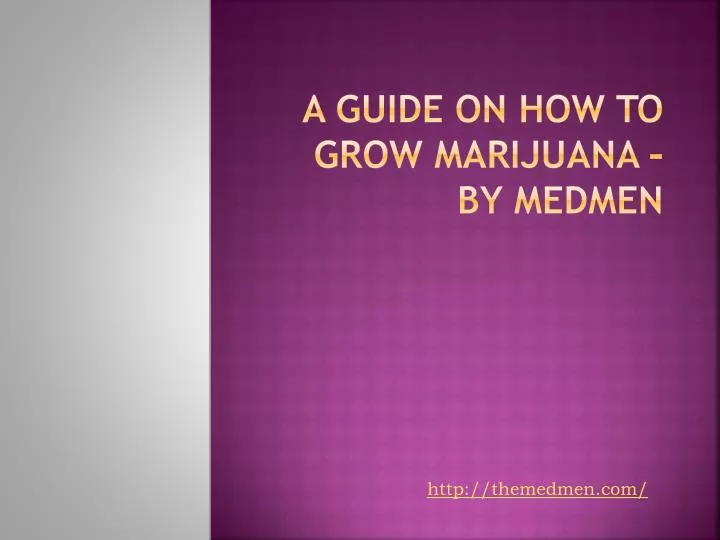 a guide on how to grow marijuana by medmen