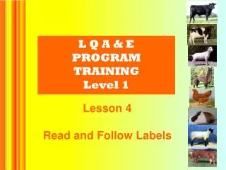 L Q A &amp; E PROGRAM TRAINING Level 1